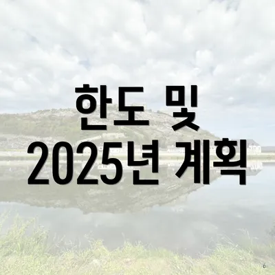 한도 및 2025년 계획