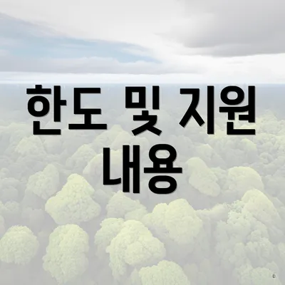 한도 및 지원 내용