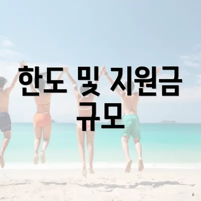 한도 및 지원금 규모
