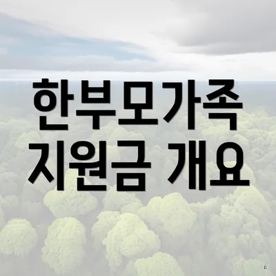 한부모가족 지원금 개요