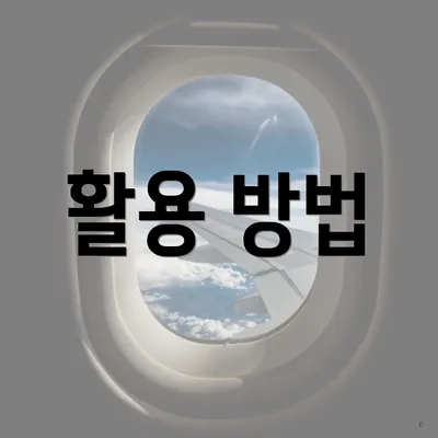 활용 방법