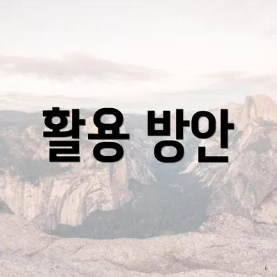 활용 방안