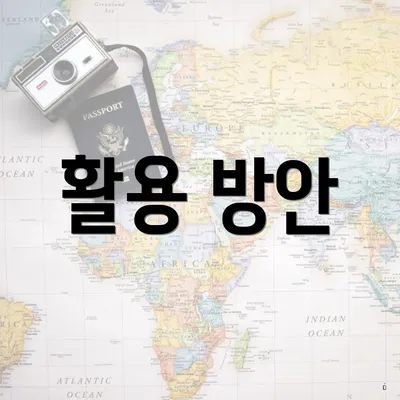 활용 방안