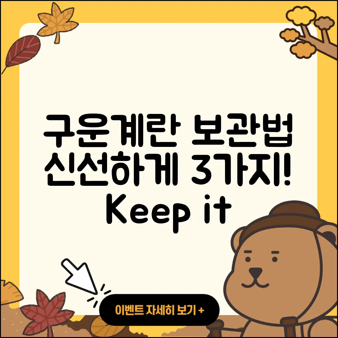 구운계란 보관 방법 3가지로 신선하게!