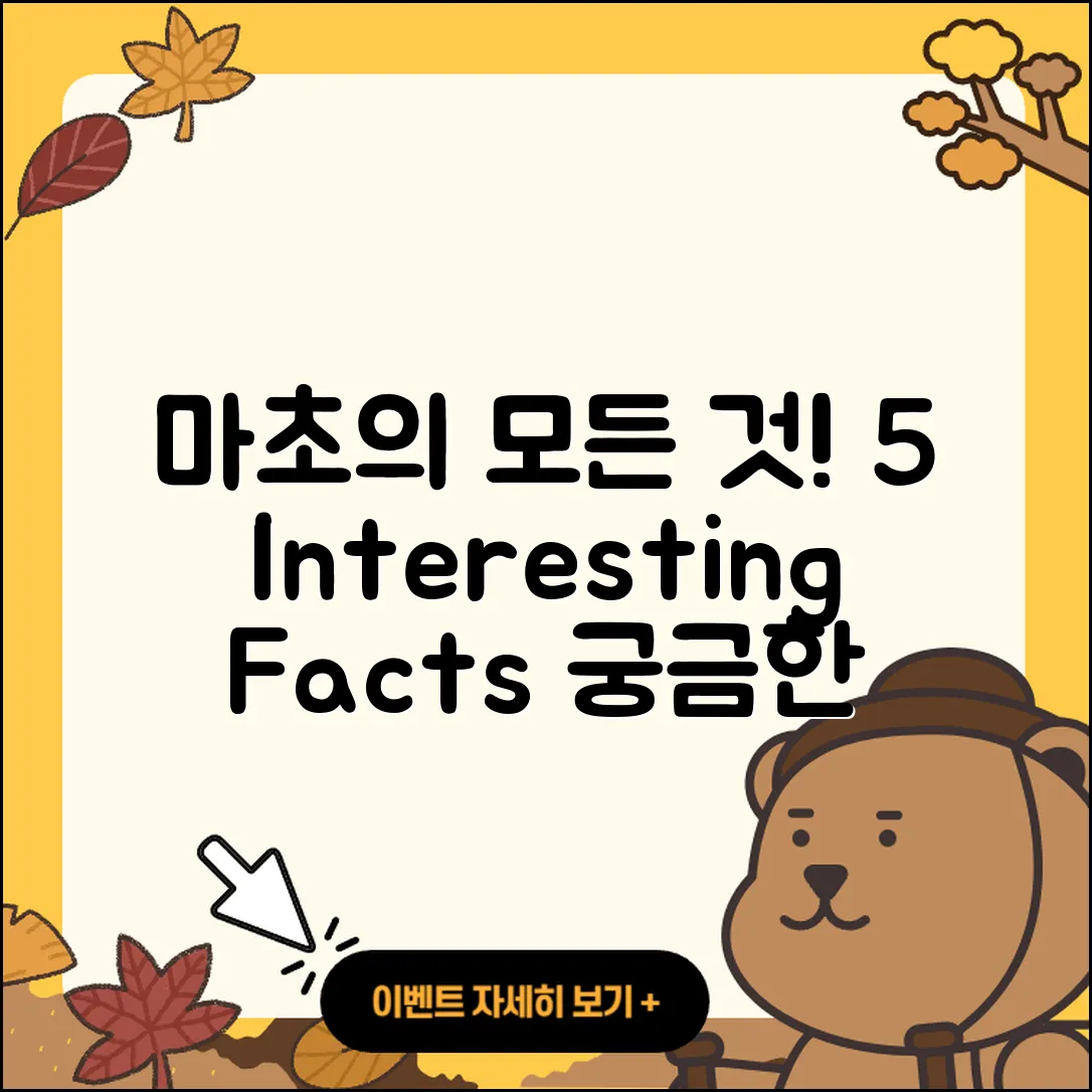 마초뜻 알아보기: 5가지 흥미로운 사실
